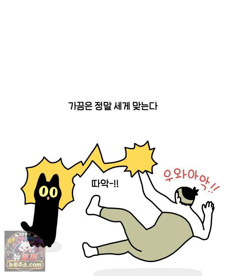 먼지 덩어리 짱덕 51． 장모종 고양이 17