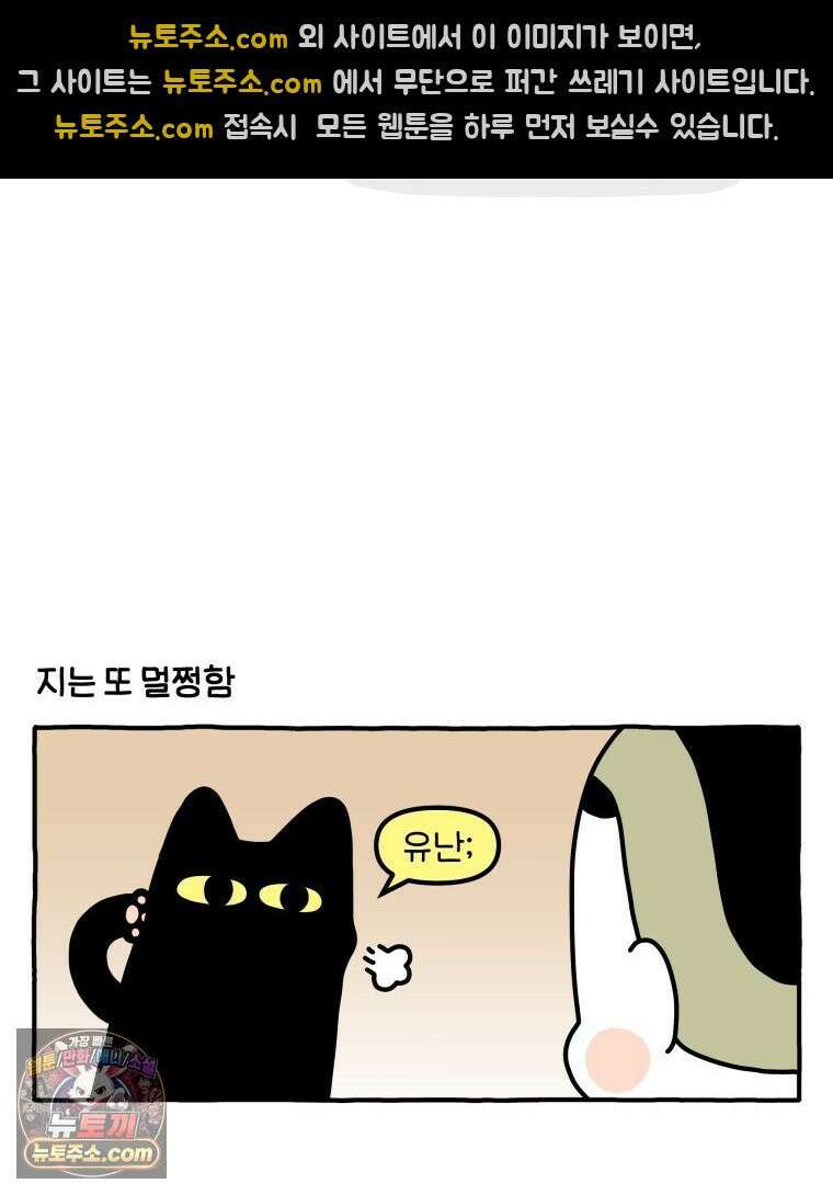 먼지 덩어리 짱덕 51． 장모종 고양이 18