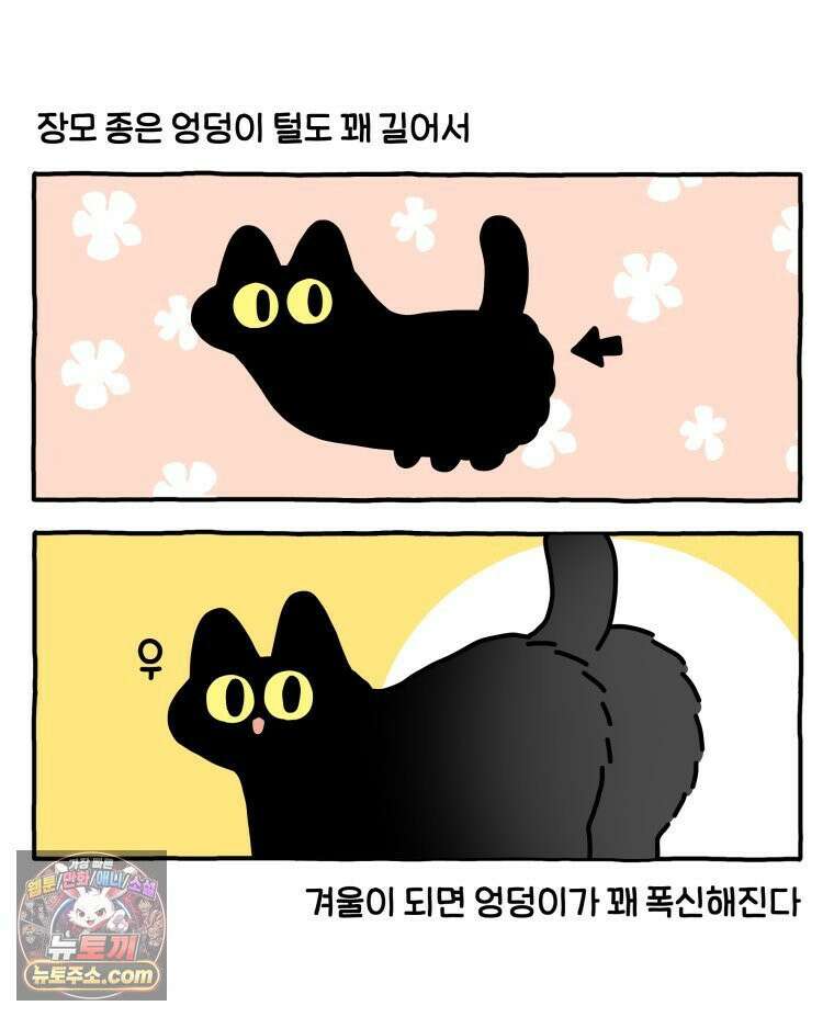 먼지 덩어리 짱덕 51． 장모종 고양이 20