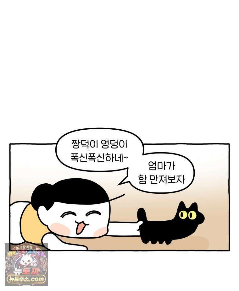 먼지 덩어리 짱덕 51． 장모종 고양이 21