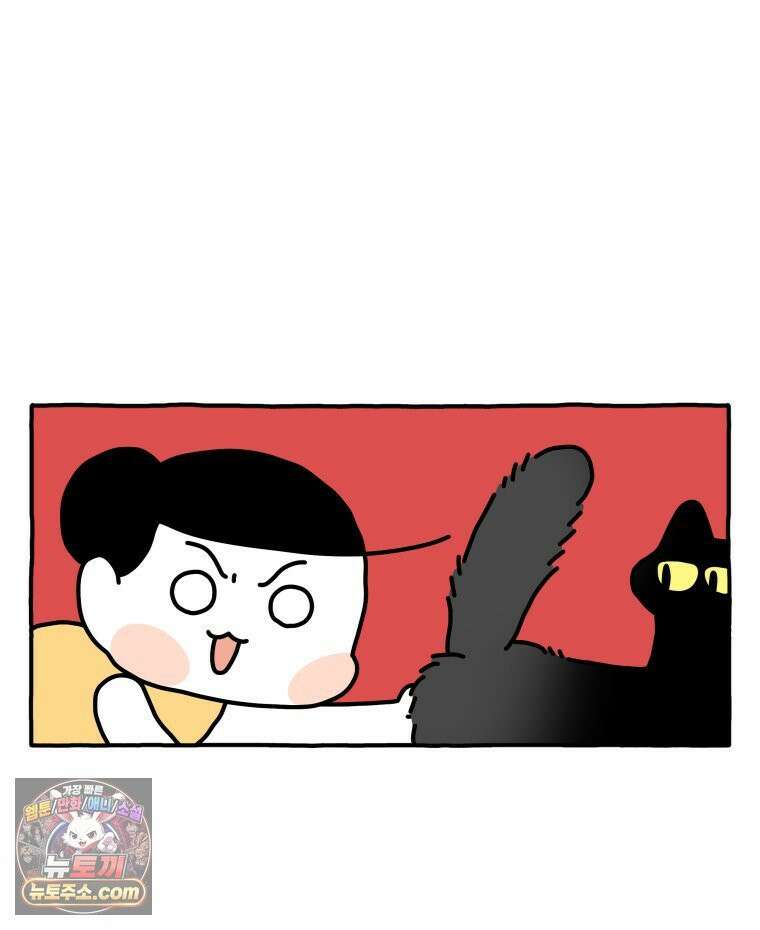 먼지 덩어리 짱덕 51． 장모종 고양이 22