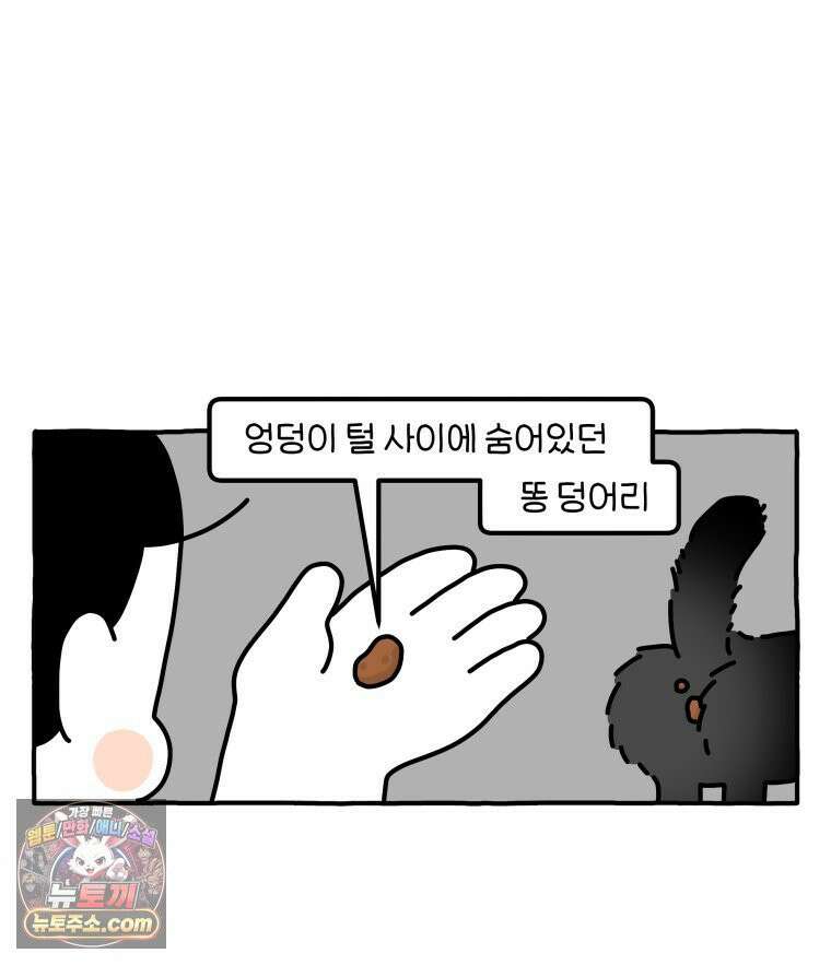 먼지 덩어리 짱덕 51． 장모종 고양이 23