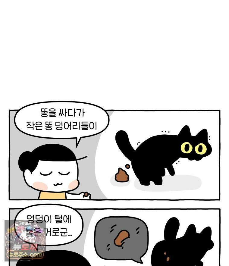 먼지 덩어리 짱덕 51． 장모종 고양이 24