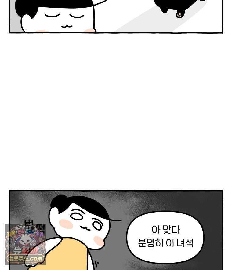 먼지 덩어리 짱덕 51． 장모종 고양이 25