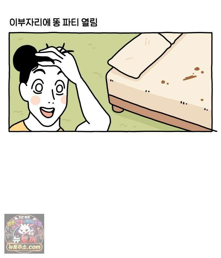 먼지 덩어리 짱덕 51． 장모종 고양이 29
