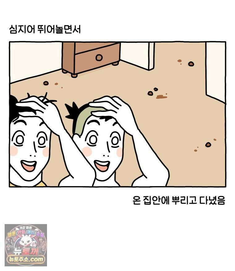 먼지 덩어리 짱덕 51． 장모종 고양이 30