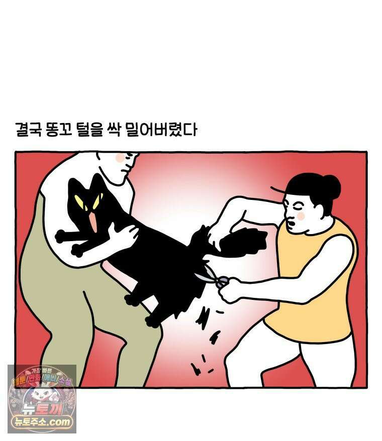 먼지 덩어리 짱덕 51． 장모종 고양이 31
