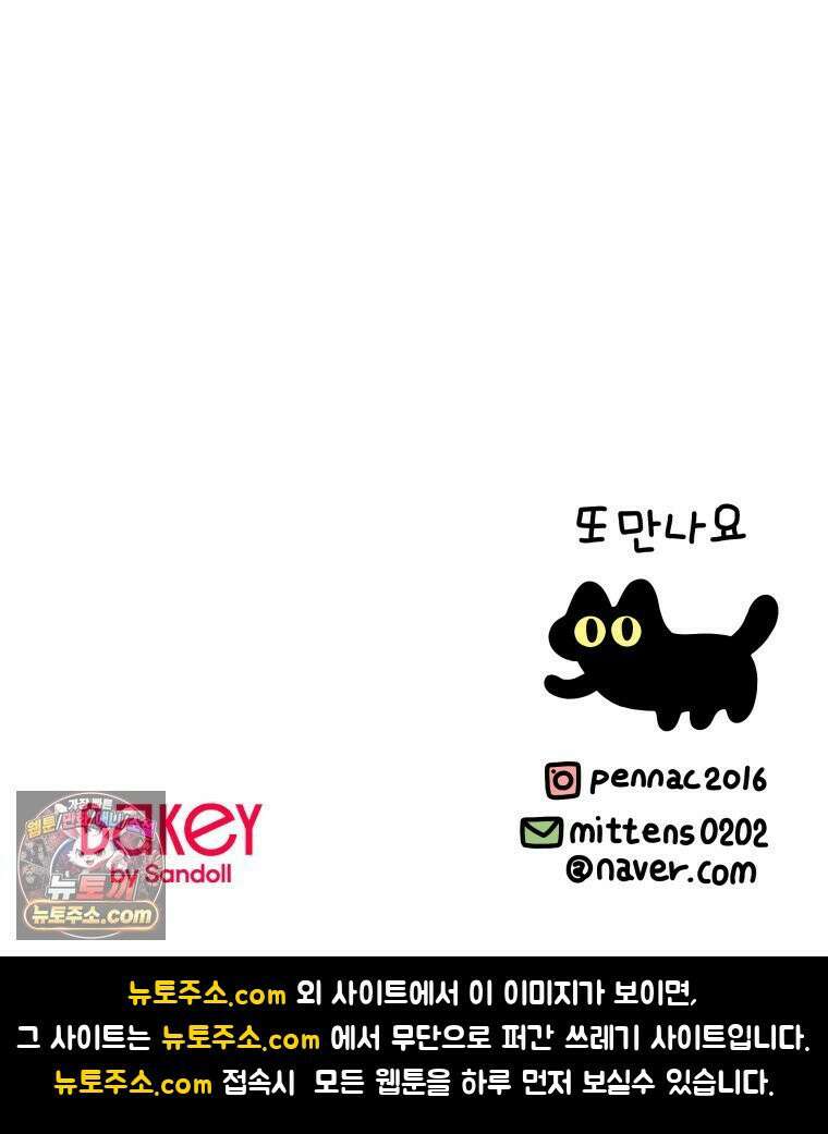 먼지 덩어리 짱덕 51． 장모종 고양이 35