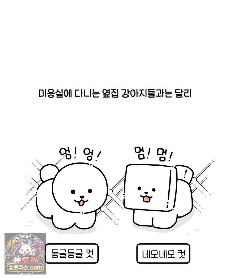 먼지 덩어리 짱덕 61． 고양이 미용 2