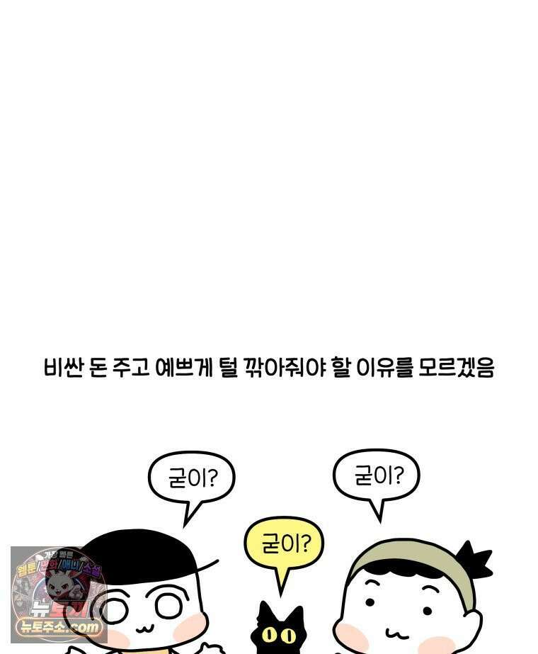 먼지 덩어리 짱덕 61． 고양이 미용 4