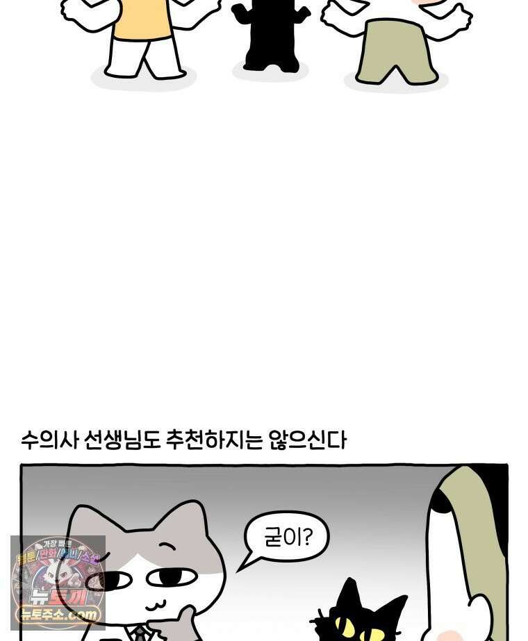 먼지 덩어리 짱덕 61． 고양이 미용 5