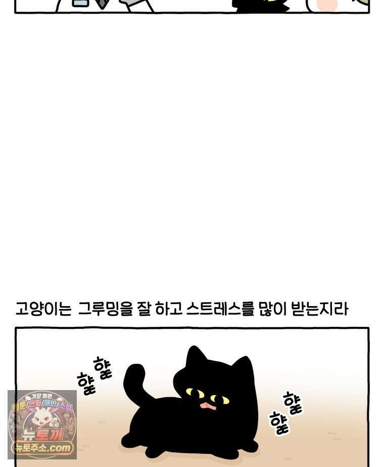 먼지 덩어리 짱덕 61． 고양이 미용 6