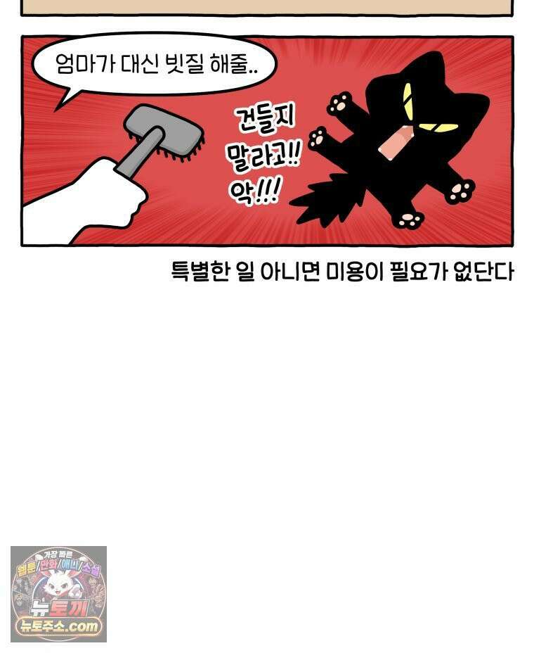 먼지 덩어리 짱덕 61． 고양이 미용 7