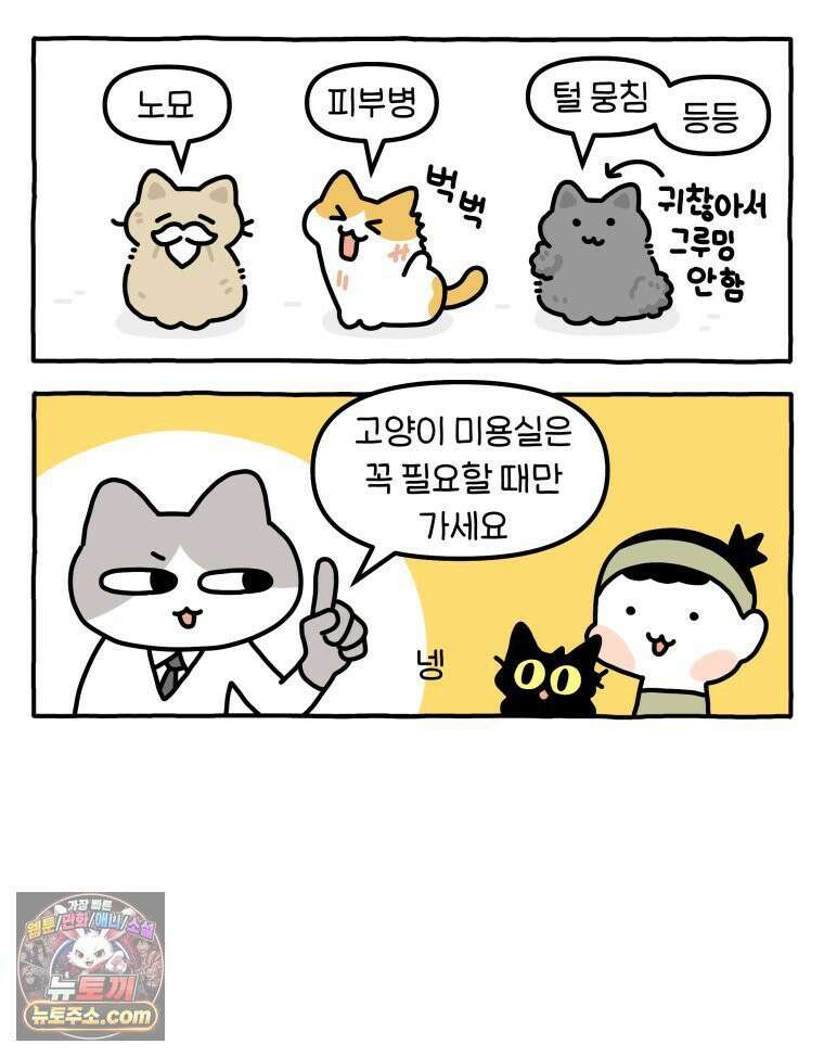 먼지 덩어리 짱덕 61． 고양이 미용 8