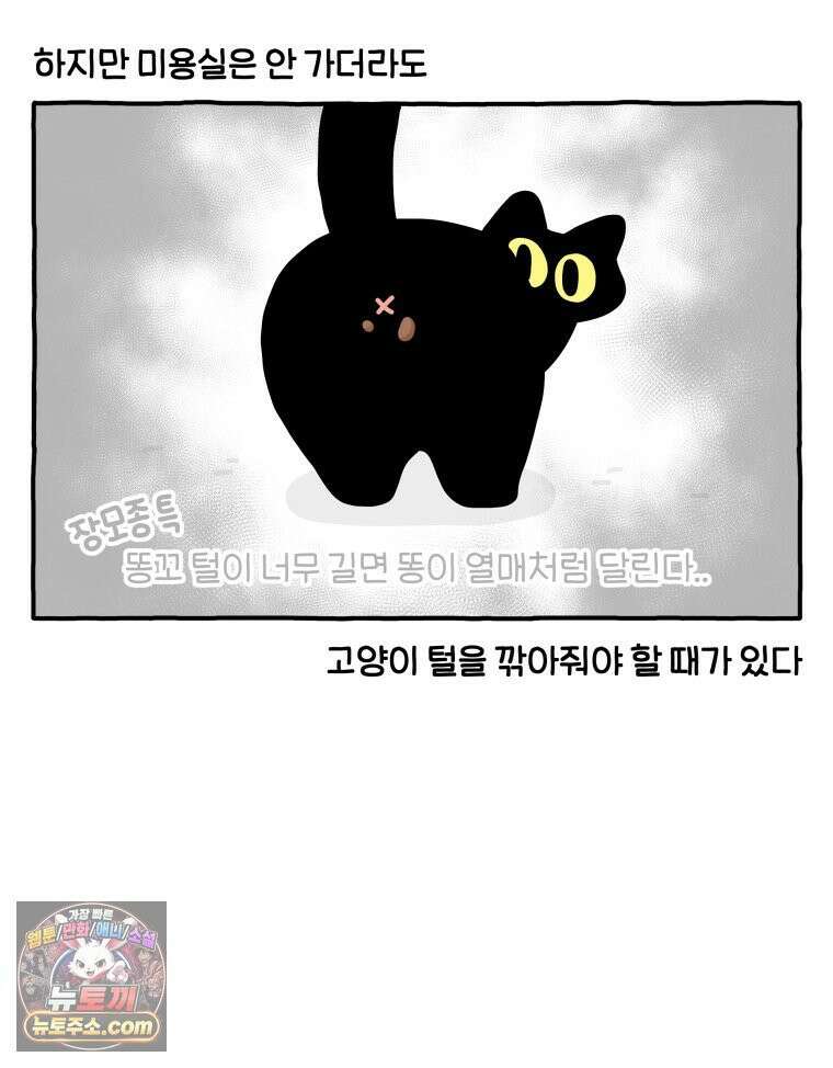 먼지 덩어리 짱덕 61． 고양이 미용 10