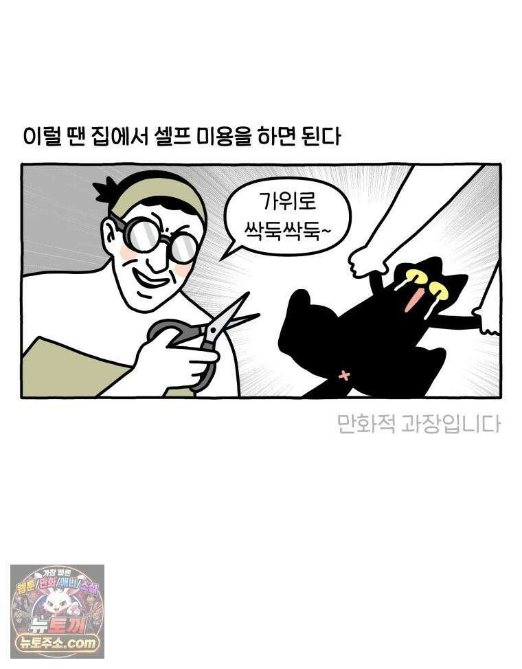 먼지 덩어리 짱덕 61． 고양이 미용 11