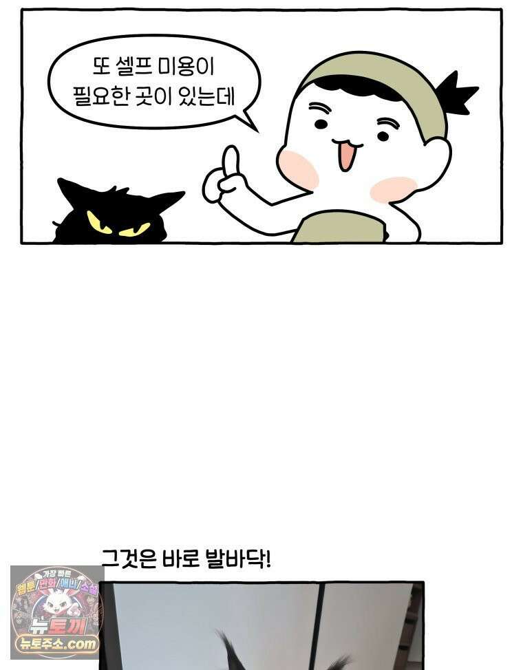 먼지 덩어리 짱덕 61． 고양이 미용 13
