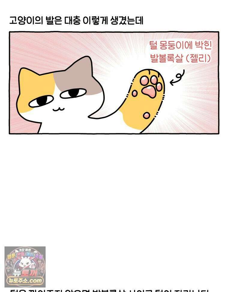 먼지 덩어리 짱덕 61． 고양이 미용 15