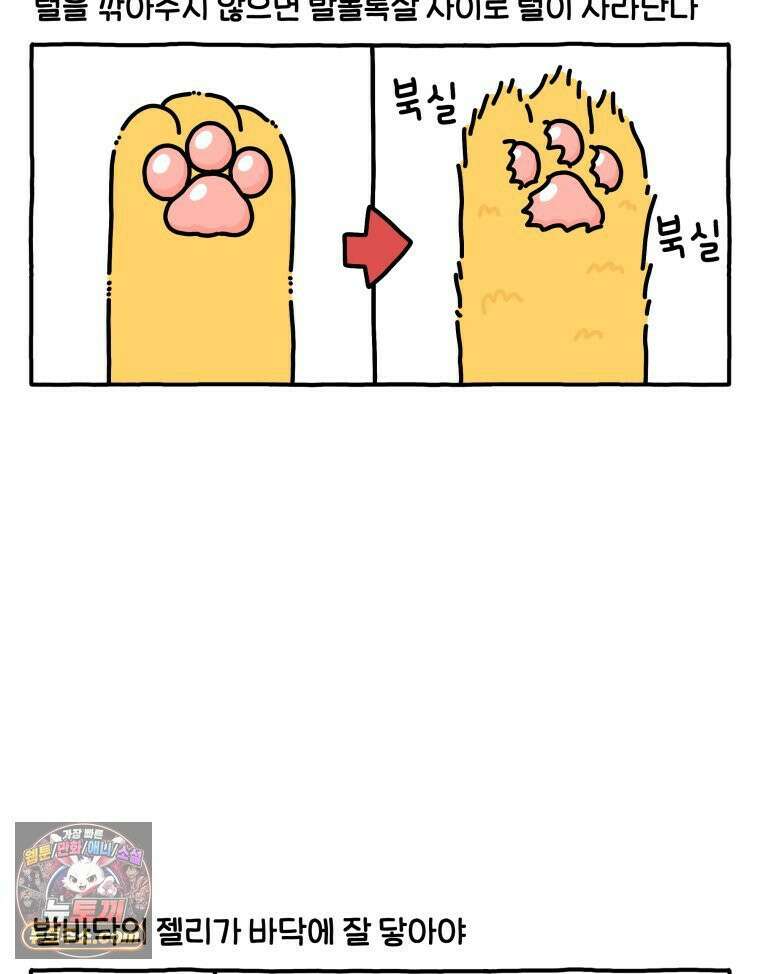 먼지 덩어리 짱덕 61． 고양이 미용 16
