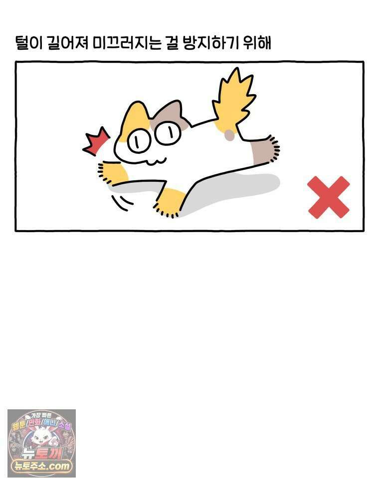 먼지 덩어리 짱덕 61． 고양이 미용 18
