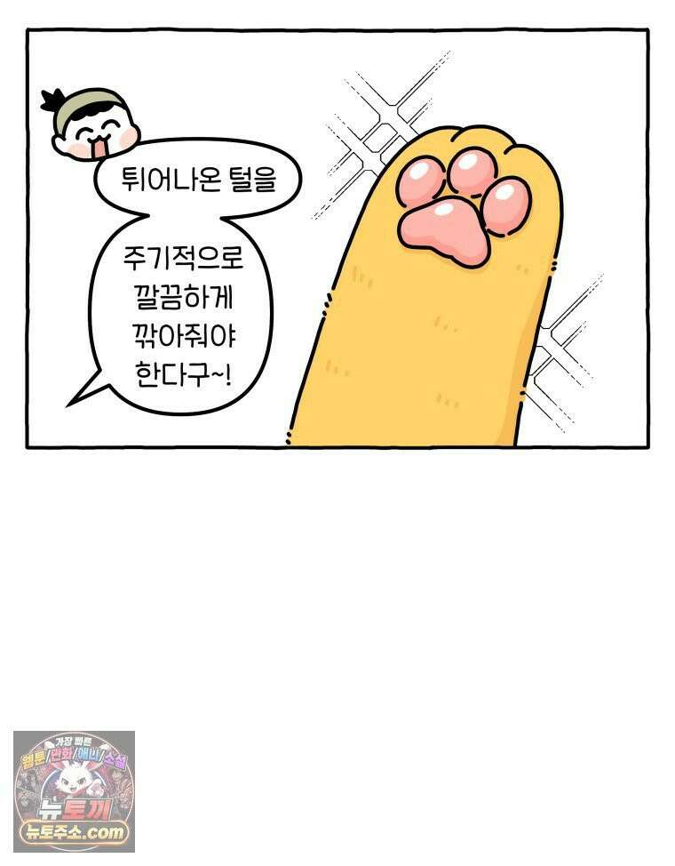 먼지 덩어리 짱덕 61． 고양이 미용 19