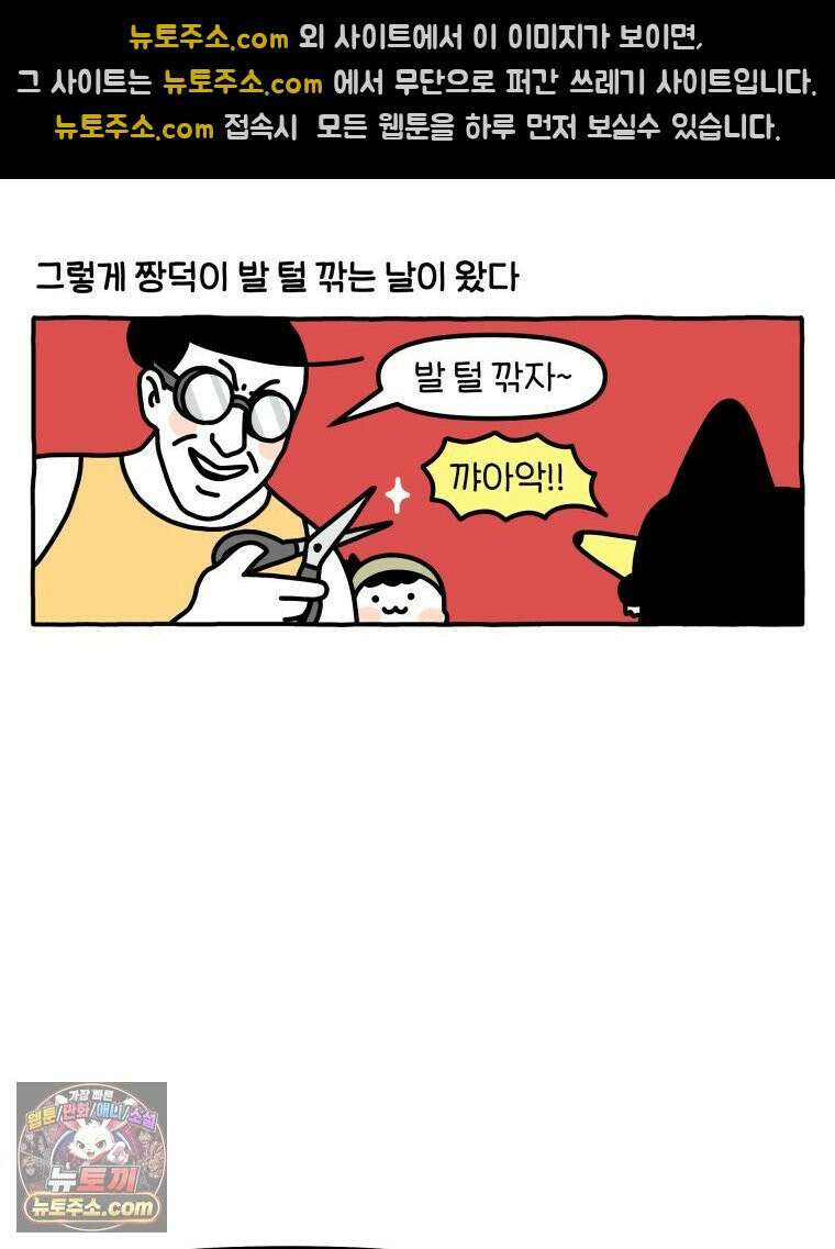 먼지 덩어리 짱덕 61． 고양이 미용 20
