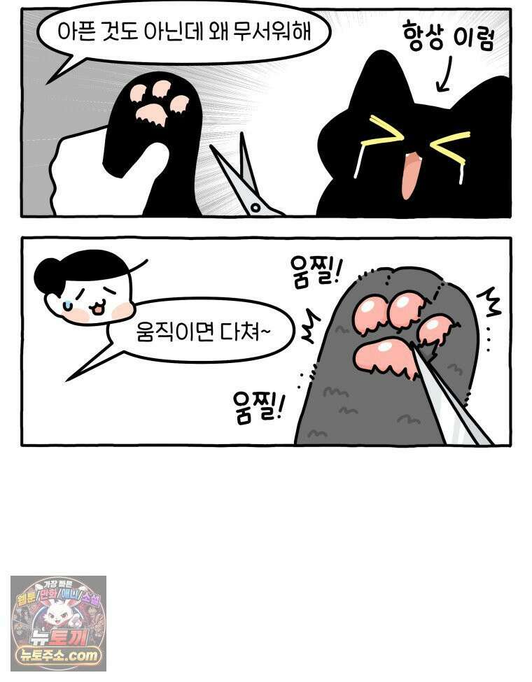 먼지 덩어리 짱덕 61． 고양이 미용 21