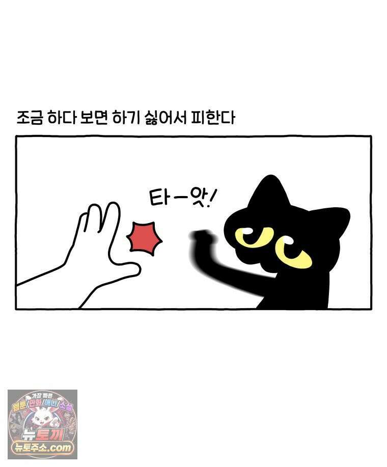 먼지 덩어리 짱덕 61． 고양이 미용 22