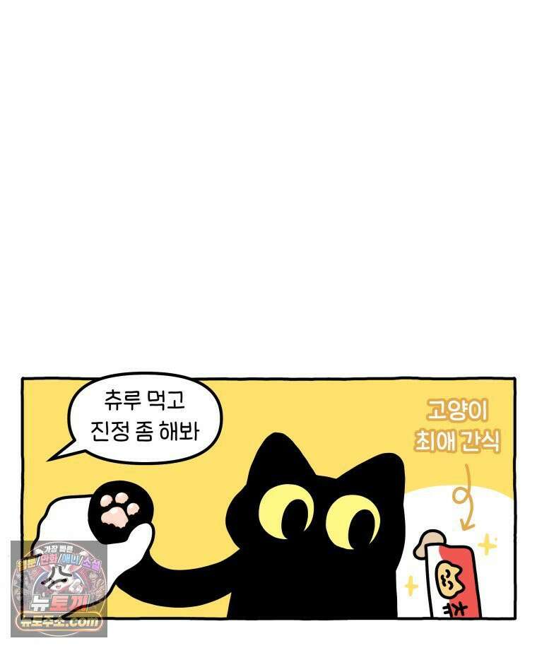 먼지 덩어리 짱덕 61． 고양이 미용 24