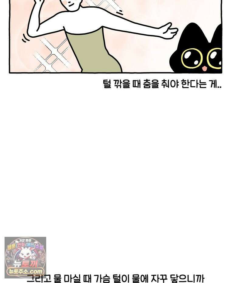 먼지 덩어리 짱덕 61． 고양이 미용 33