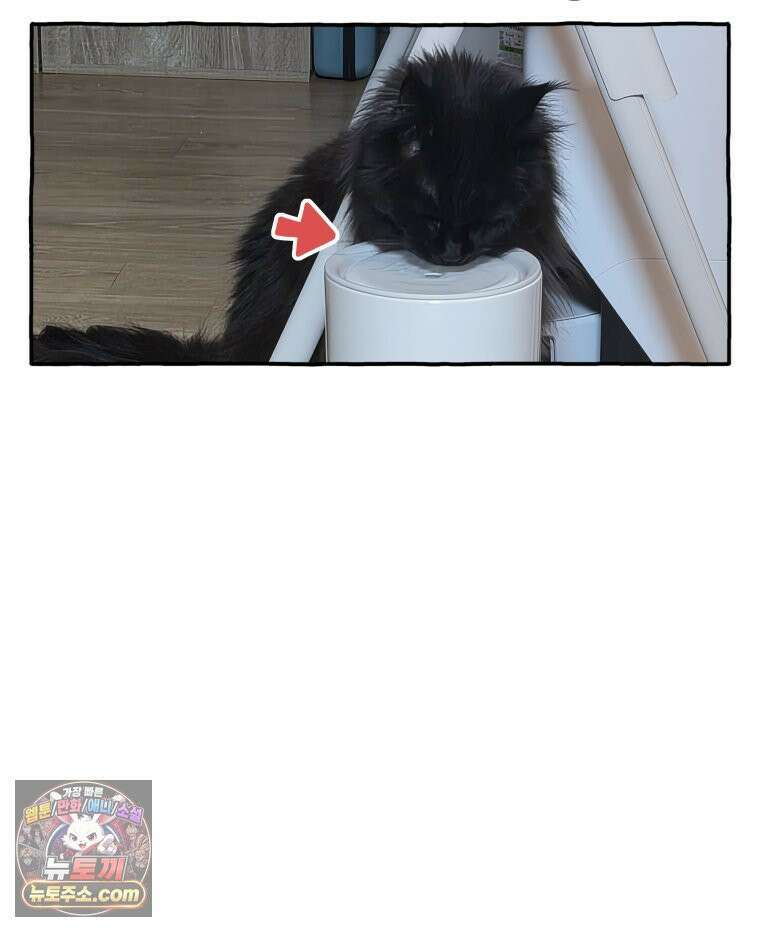 먼지 덩어리 짱덕 61． 고양이 미용 34