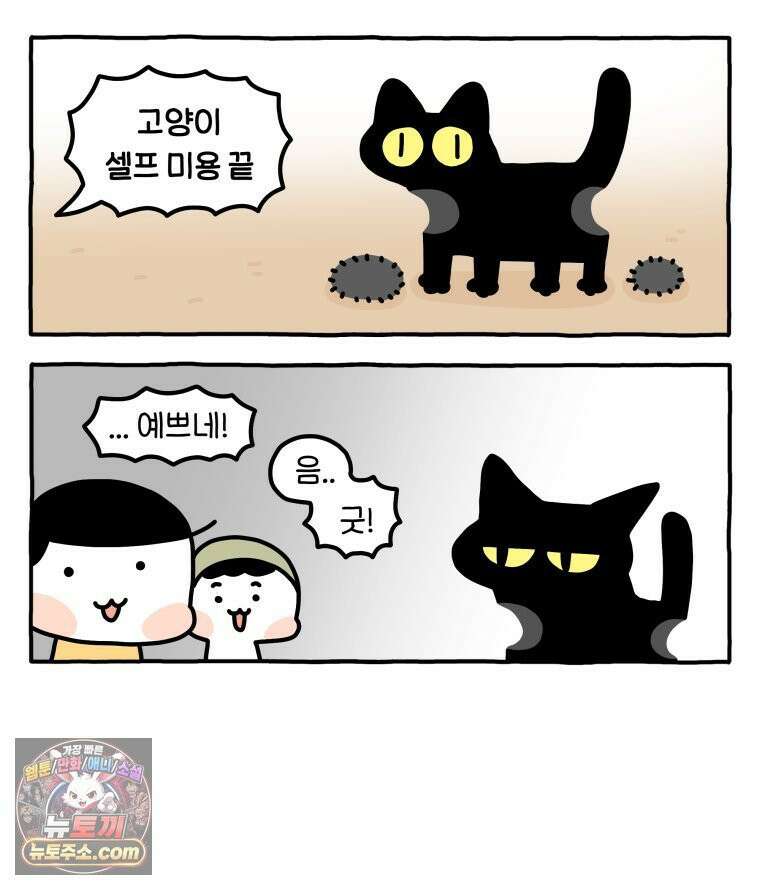 먼지 덩어리 짱덕 61． 고양이 미용 36