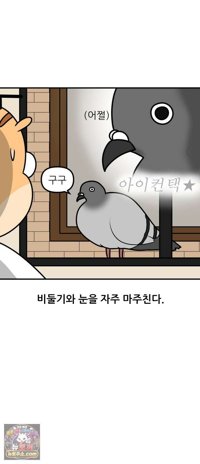 K학원 생존기 172화 - 비둘기 2