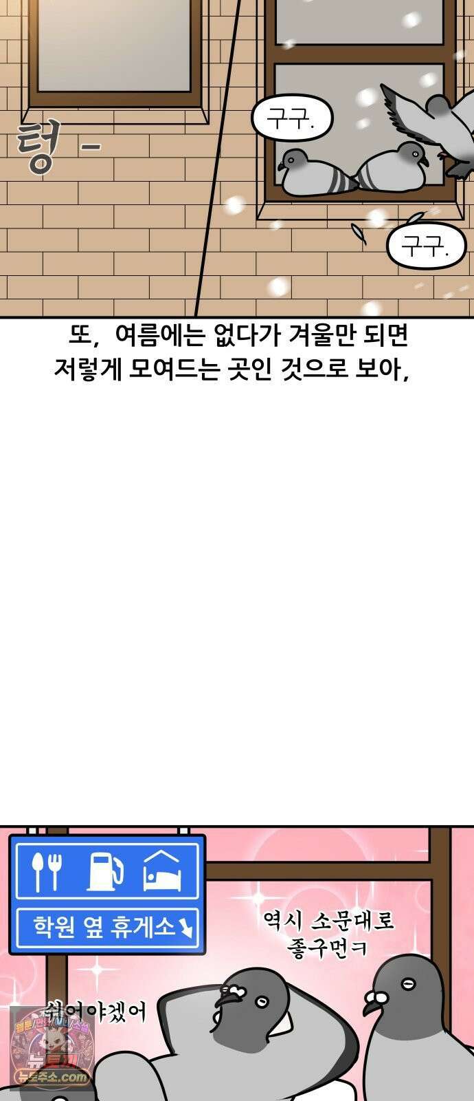 K학원 생존기 172화 - 비둘기 10