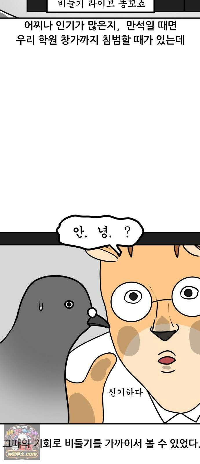 K학원 생존기 172화 - 비둘기 12