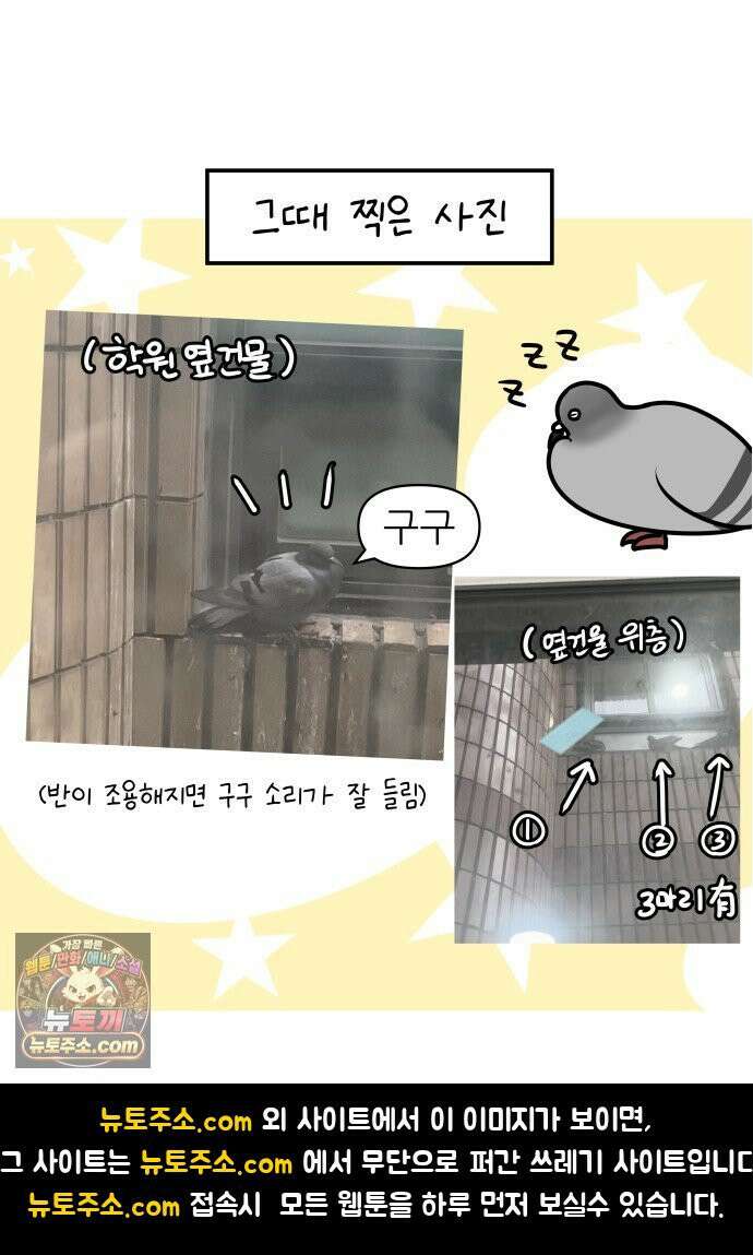 K학원 생존기 172화 - 비둘기 21