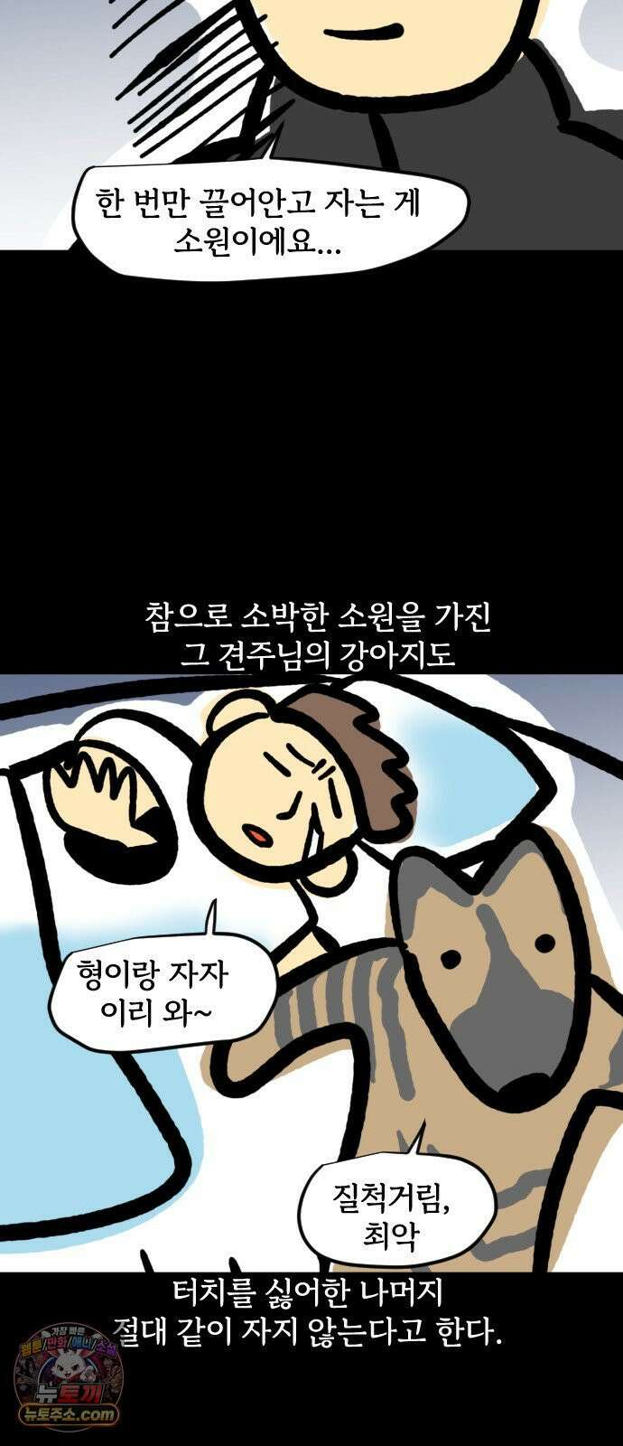 개집사 168화: 안지마! 8