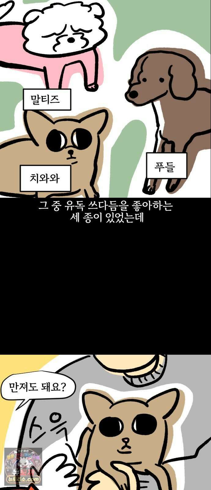 개집사 193화: 땃쥐 미 12