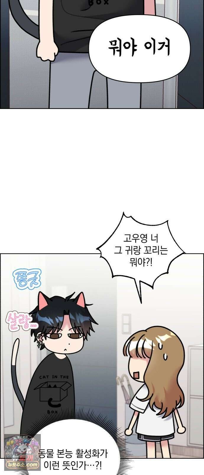 냥냥찍찍! 51화． 고우영이 미쳤다 10