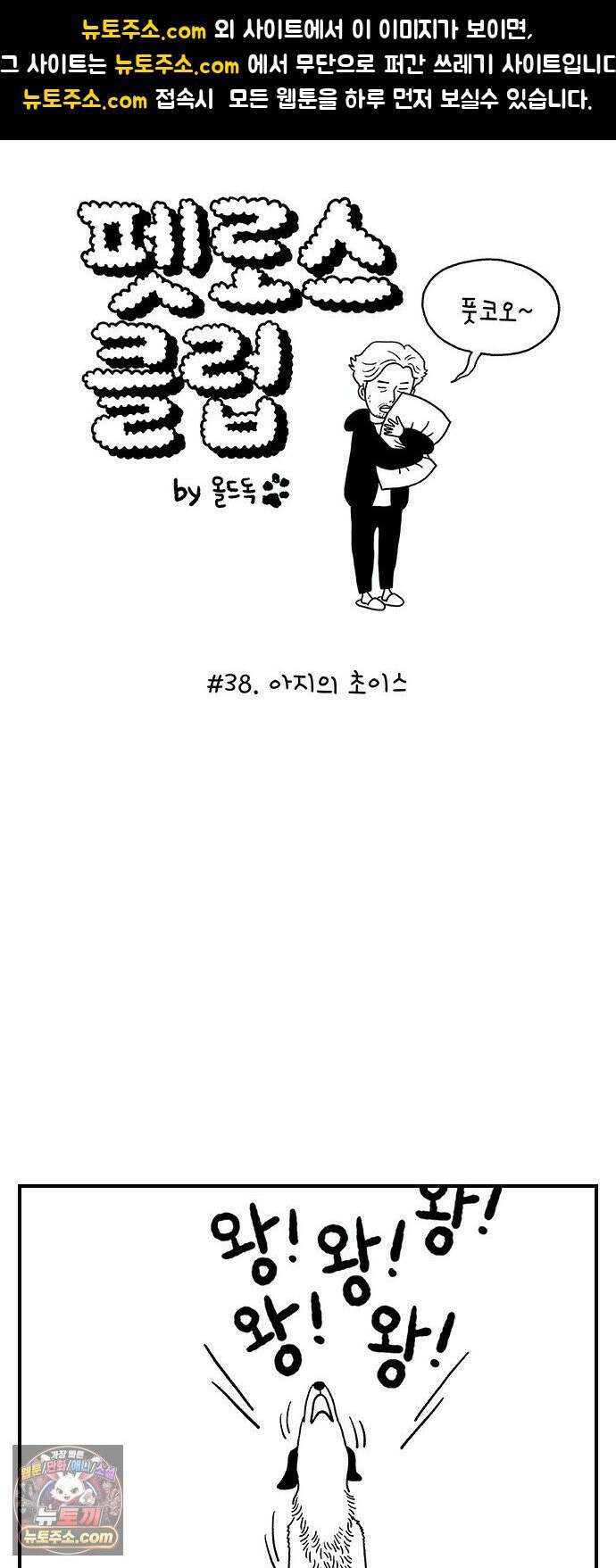 펫로스클럽 ＃38． 아지의 초이스 1