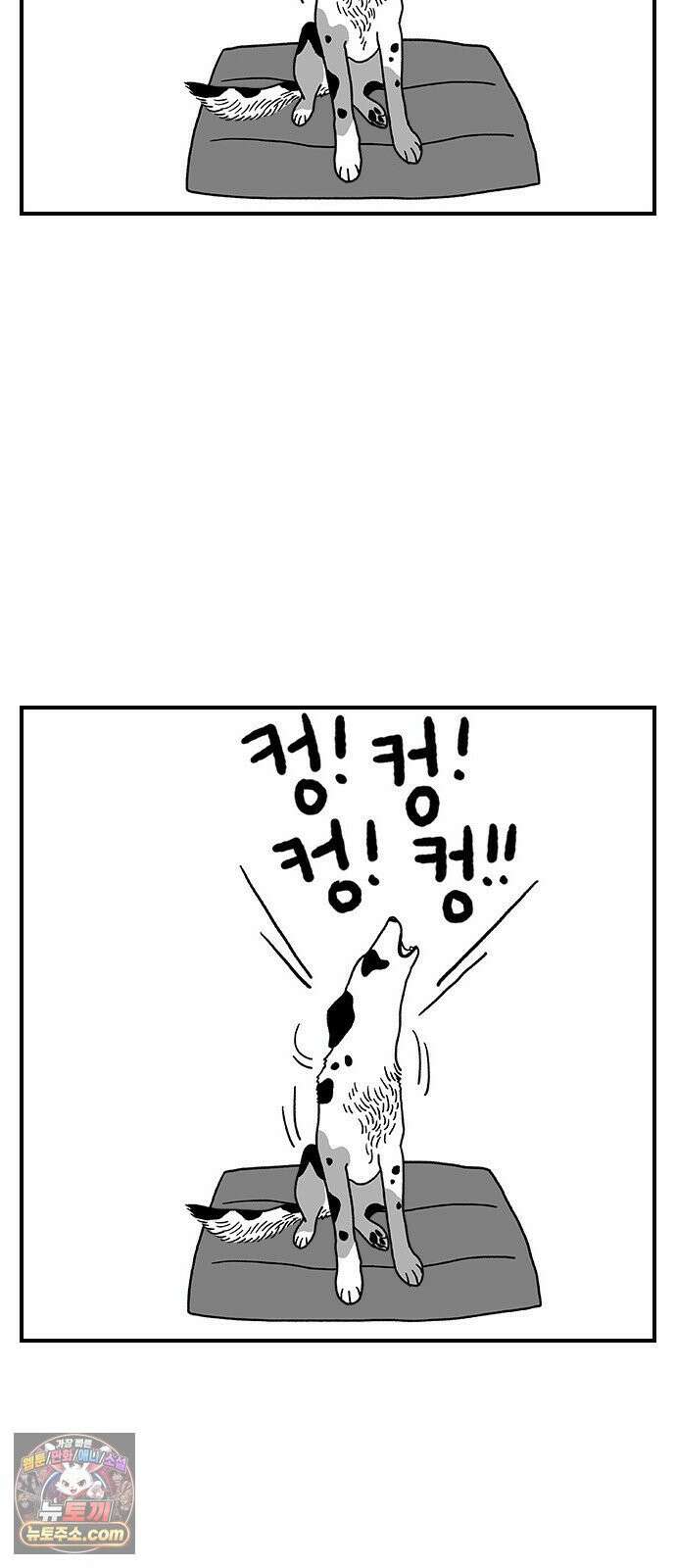 펫로스클럽 ＃38． 아지의 초이스 2