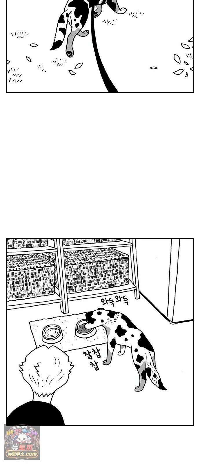 펫로스클럽 ＃38． 아지의 초이스 12