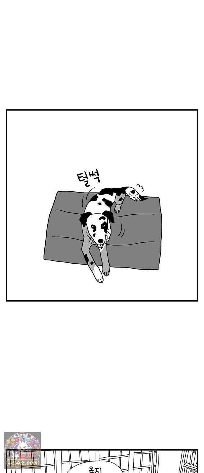 펫로스클럽 ＃38． 아지의 초이스 13