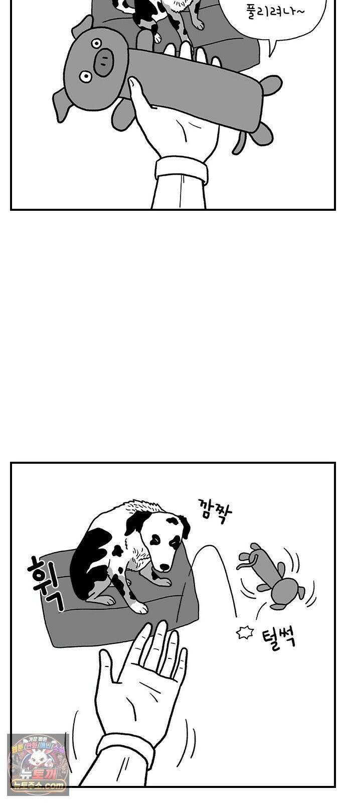 펫로스클럽 ＃38． 아지의 초이스 22