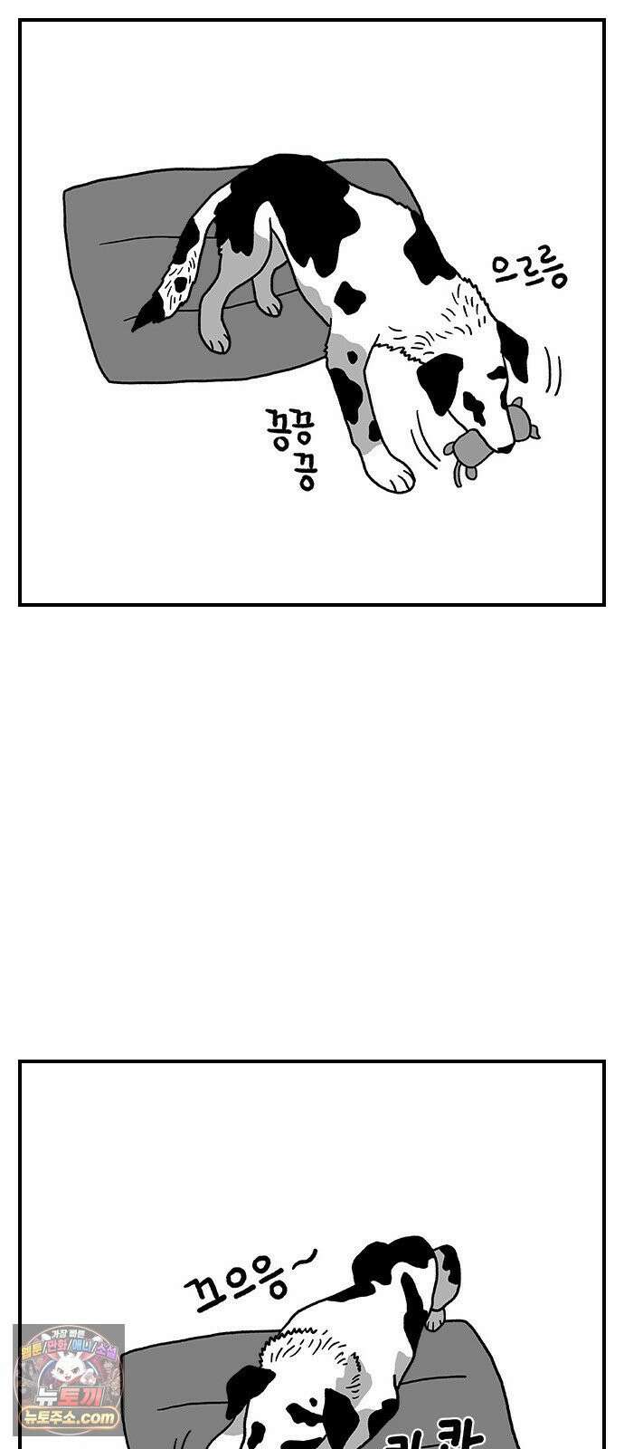 펫로스클럽 ＃38． 아지의 초이스 24