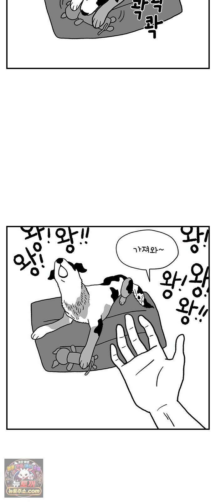 펫로스클럽 ＃38． 아지의 초이스 25