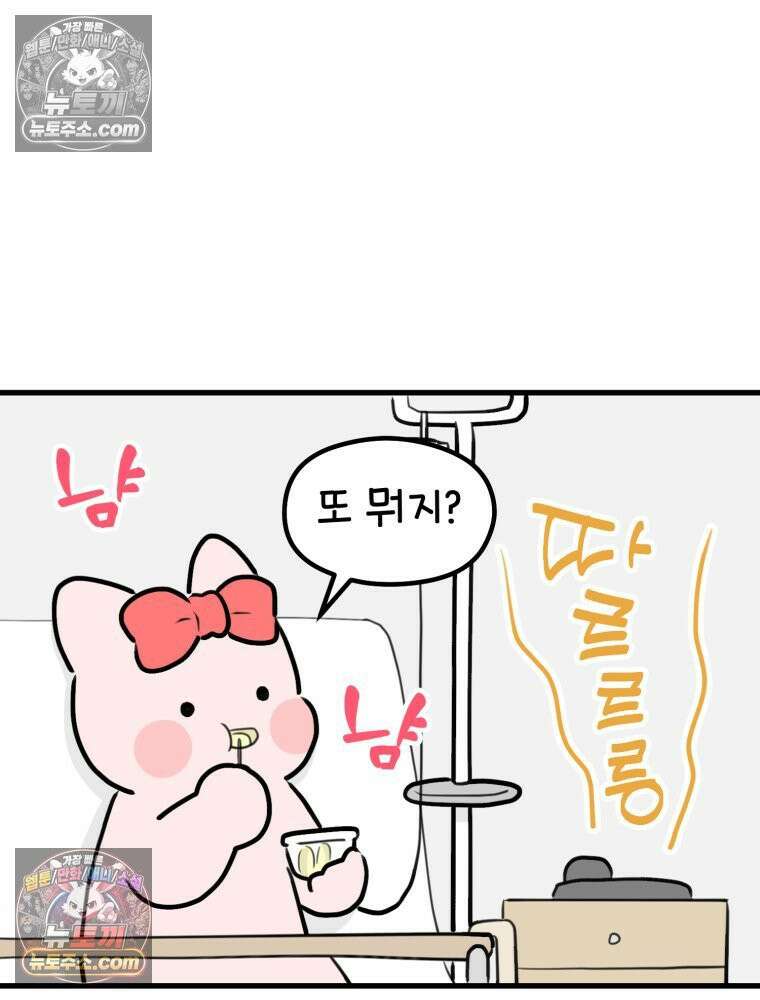 멍냥패밀리 38화 모자동실, 황달 17