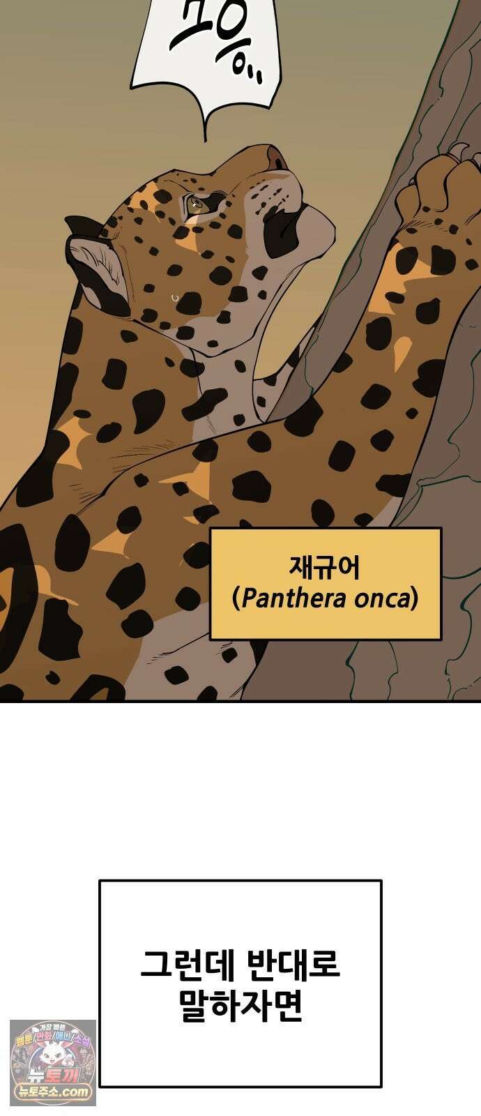고대동물기 66화 : 장난감 - 1 4