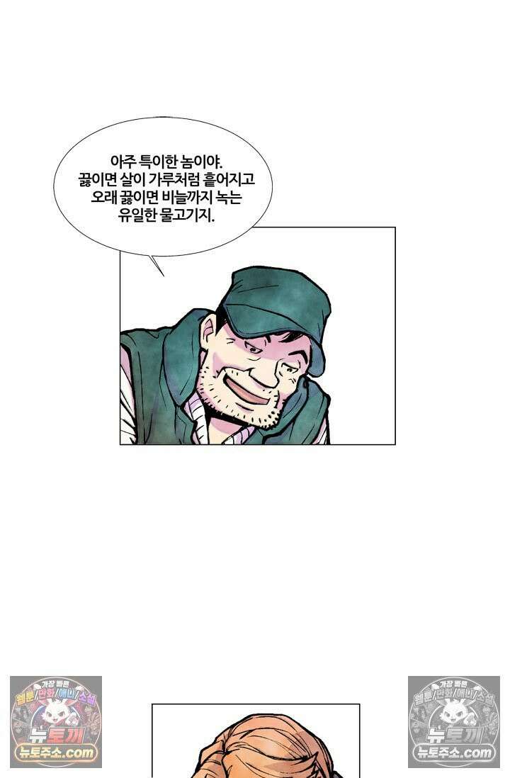 밑밥 [56화] 용치놀래기 세마리 5