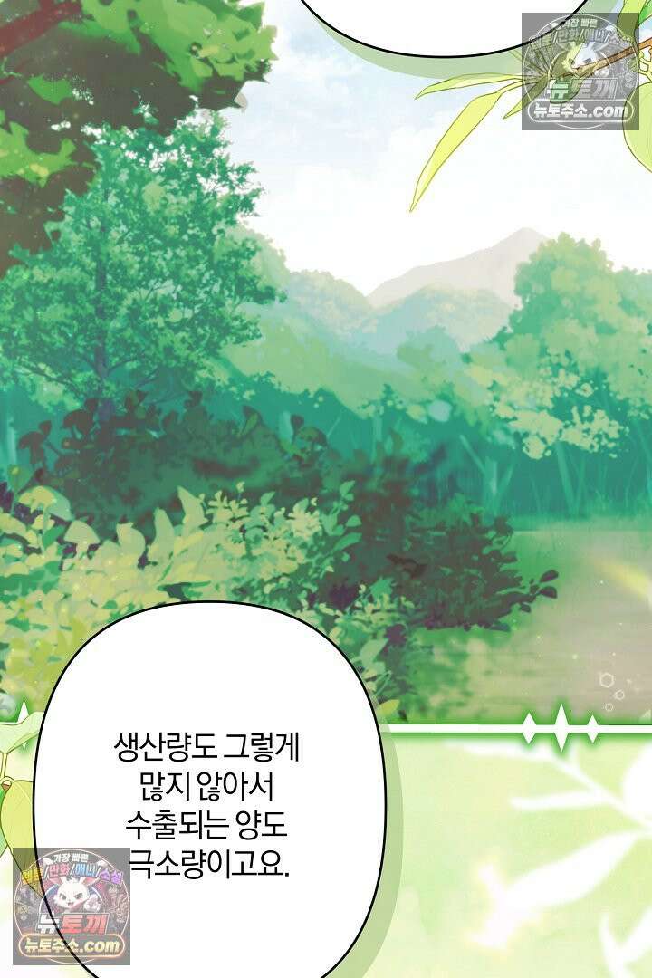 반란군의 돌팔이 의사 31화 32